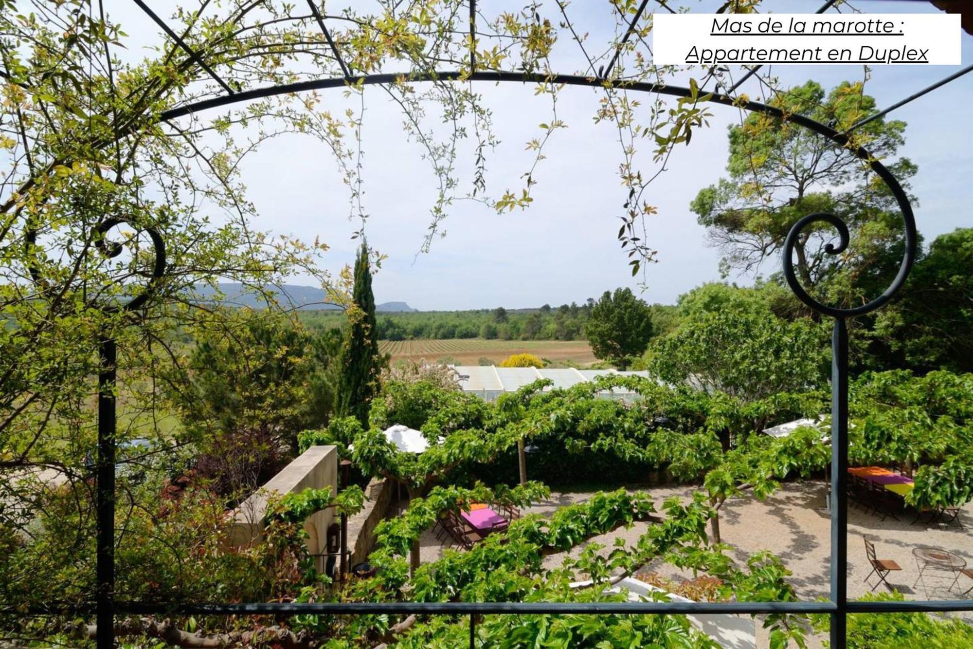 Domaine Les Terres De Saint-Hilaire Appartement Ollières Buitenkant foto